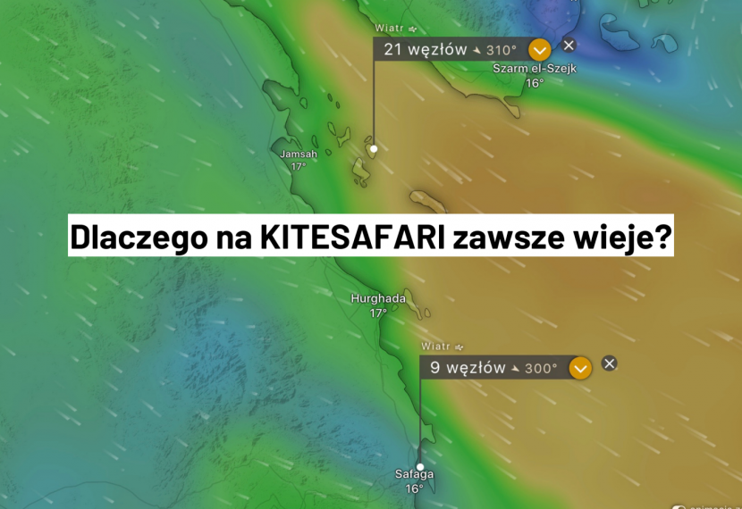 Dlaczego na KITESAFARI zawsze wieje wiatr? Skąd on się bierze? 