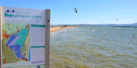 Etang de la Palme