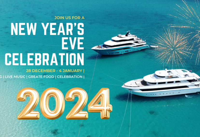 Sylwester 2024 na Kitesafari ! Wejdź w Nowy Rok w wyjątkowym stylu! 
