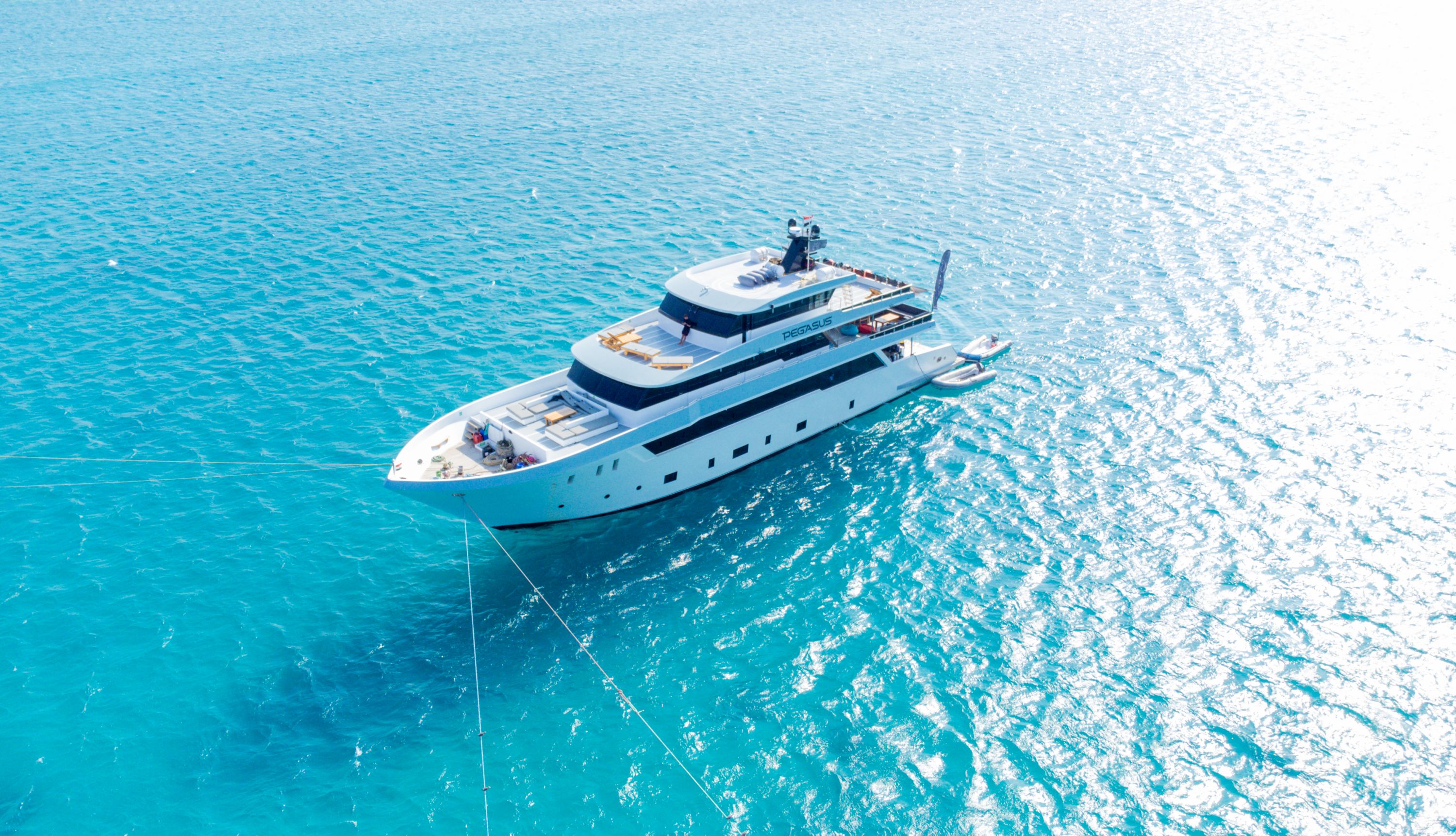 Kitesafari malayka Morze Czerwone