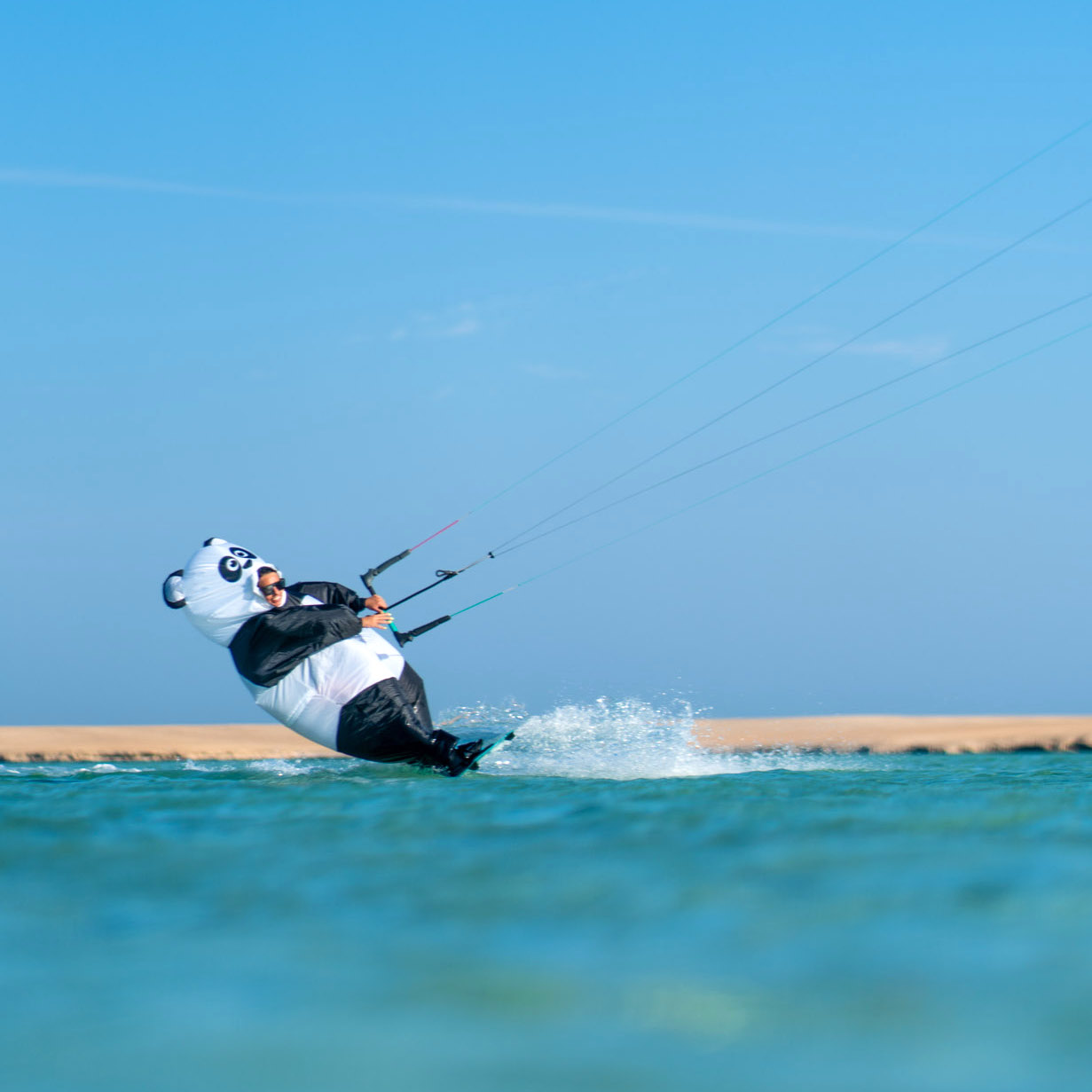 Panda KItesurfing MALWINA BARANIAK kitesafari