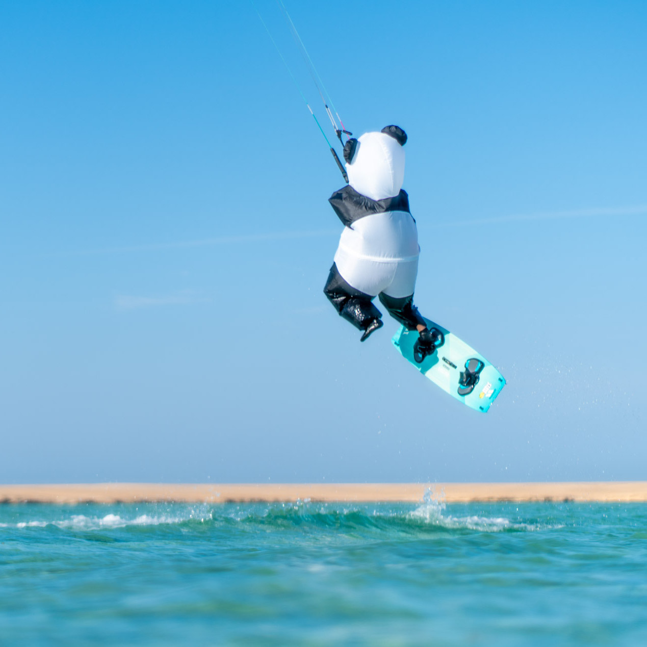 Panda KItesurfing MALWINA BARANIAK